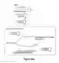 Fig. 49 - Triggered molecular geometry based bioimaging probes