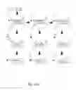 Fig. 61 - Triggered molecular geometry based bioimaging probes
