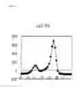 Fig. 14 - Method for Detecting Mutation in Exon 12 of JAK2 Gene, and Nucleic Acid Probe and Kit Therefor