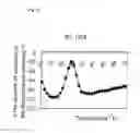 Fig. 17 - Method for Detecting Mutation in Exon 12 of JAK2 Gene, and Nucleic Acid Probe and Kit Therefor