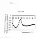Fig. 18 - Method for Detecting Mutation in Exon 12 of JAK2 Gene, and Nucleic Acid Probe and Kit Therefor
