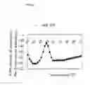 Fig. 20 - Method for Detecting Mutation in Exon 12 of JAK2 Gene, and Nucleic Acid Probe and Kit Therefor