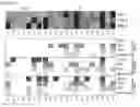Fig. 07 - Method of assaying an individual for immune impairment