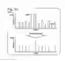 Fig. 09 - CONTROLS AND CALIBRATORS FOR TESTS OF NUCLEIC ACID AMPLIFICATION PERFORMED IN DROPLETS
