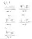 Fig. 08 - METHOD OF DETECTING TARGET SUBSTANCE