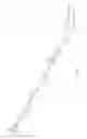 Fig. 12 - Functional lipid constructs