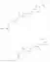 Fig. 17 - Functional lipid constructs