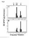 Fig. 05 - DIAGNOSTIC METHODS USING BNP