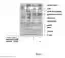 Fig. 07 - Phosphorylated NF45 Biomarkers, Antibodies And Methods Of Using Same