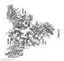 Fig. 05 - Crystal structure of human alpha-N-acetylglucosaminidase