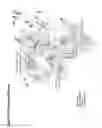 Fig. 17 - Crystal structure of human alpha-N-acetylglucosaminidase