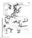 Fig. 18 - Crystal structure of human alpha-N-acetylglucosaminidase