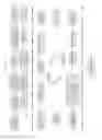 Fig. 02 - Serial multiple antigen colocalization in paraffin-embedded tissue