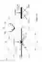 Fig. 12 - Directional surface plasmon coupled fluorescence and chemiluminescence from thin films of nickel, iron or palladium and uses thereof