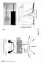 Fig. 19 - Directional surface plasmon coupled fluorescence and chemiluminescence from thin films of nickel, iron or palladium and uses thereof