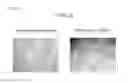 Fig. 04 - METHOD FOR EVALUATING STATE OF CELLS