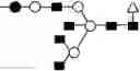 Fig. 102 - METHOD FOR EVALUATING STATE OF CELLS