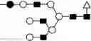 Fig. 106 - METHOD FOR EVALUATING STATE OF CELLS
