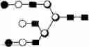 Fig. 110 - METHOD FOR EVALUATING STATE OF CELLS