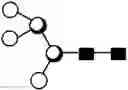 Fig. 142 - METHOD FOR EVALUATING STATE OF CELLS