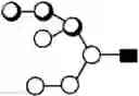 Fig. 146 - METHOD FOR EVALUATING STATE OF CELLS