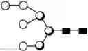 Fig. 152 - METHOD FOR EVALUATING STATE OF CELLS