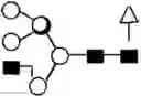 Fig. 154 - METHOD FOR EVALUATING STATE OF CELLS