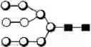 Fig. 170 - METHOD FOR EVALUATING STATE OF CELLS