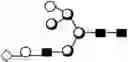 Fig. 172 - METHOD FOR EVALUATING STATE OF CELLS