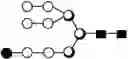 Fig. 180 - METHOD FOR EVALUATING STATE OF CELLS
