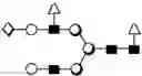Fig. 187 - METHOD FOR EVALUATING STATE OF CELLS