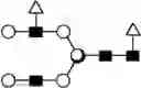 Fig. 231 - METHOD FOR EVALUATING STATE OF CELLS