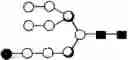 Fig. 237 - METHOD FOR EVALUATING STATE OF CELLS