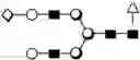 Fig. 239 - METHOD FOR EVALUATING STATE OF CELLS