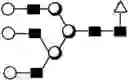 Fig. 241 - METHOD FOR EVALUATING STATE OF CELLS