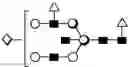 Fig. 30 - METHOD FOR EVALUATING STATE OF CELLS