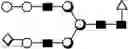 Fig. 31 - METHOD FOR EVALUATING STATE OF CELLS