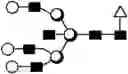 Fig. 34 - METHOD FOR EVALUATING STATE OF CELLS