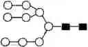 Fig. 80 - METHOD FOR EVALUATING STATE OF CELLS
