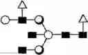 Fig. 85 - METHOD FOR EVALUATING STATE OF CELLS
