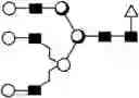Fig. 96 - METHOD FOR EVALUATING STATE OF CELLS