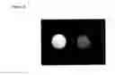 Fig. 05 - METHODS FOR MAGNETIC RESONANCE IMAGING