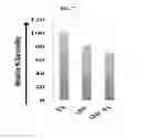 Fig. 07 - LABEL-FREE CELL SORTING USING NEAR INFRARED EMISSION