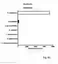 Fig. 18 - Rapid FRET-based diagnosis of bacterial pathogens