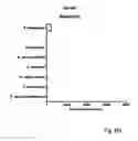 Fig. 19 - Rapid FRET-based diagnosis of bacterial pathogens
