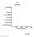 Fig. 20 - Rapid FRET-based diagnosis of bacterial pathogens