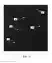 Fig. 05 - Method for detecting the presence of anisotropic crystals in undiluted whole blood