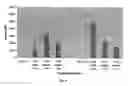 Fig. 05 - MATERIALS AND METHODS FOR ISOTHERMAL NUCLEIC ACID AMPLIFICATION