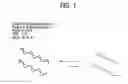 Fig. 02 - Recombinase polymerase amplification