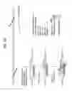 Fig. 05 - Recombinase polymerase amplification